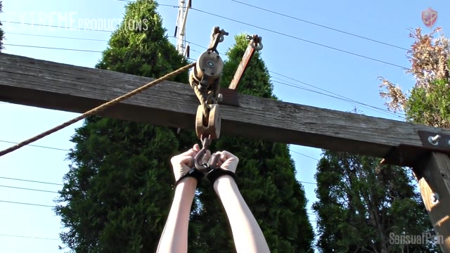 Painful cleaning gallows whipped