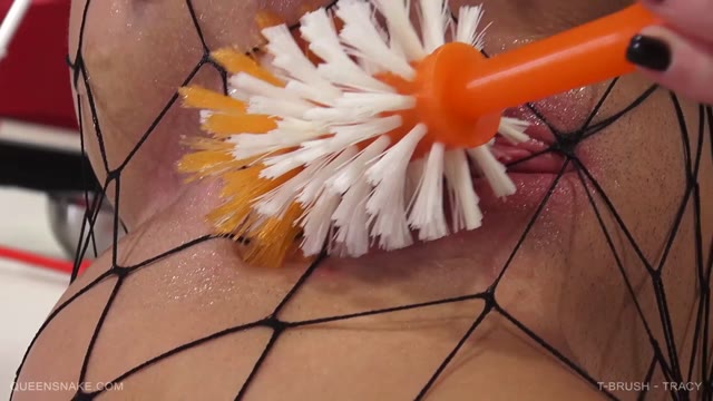 Toilet brush tracy