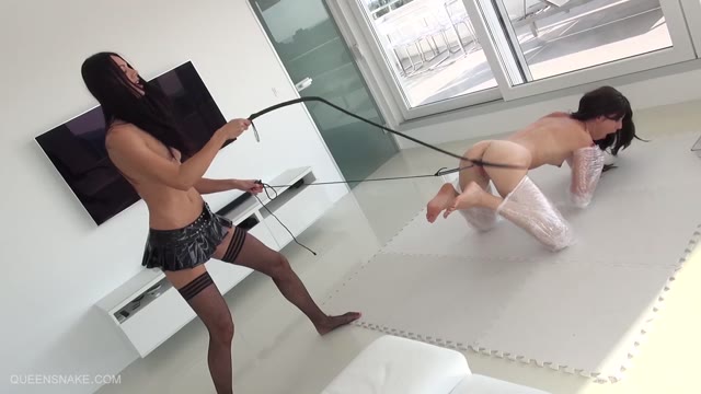 Brush n whip