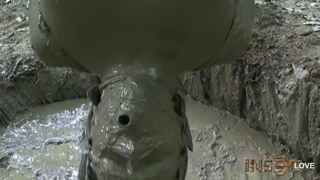 Tyler mudpit remastered
