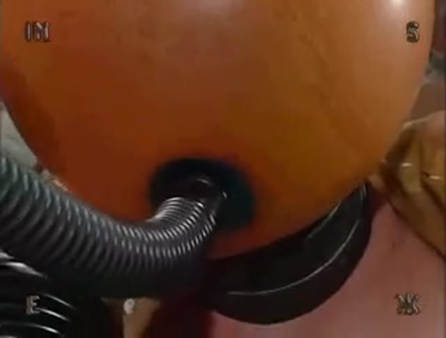 Insex stumped 411